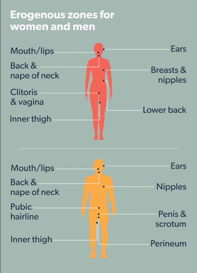 Mental erogenous zones